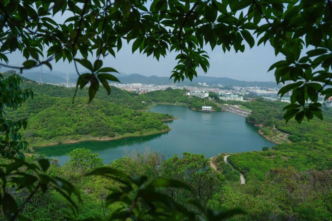 黃江生態（2）.jpg