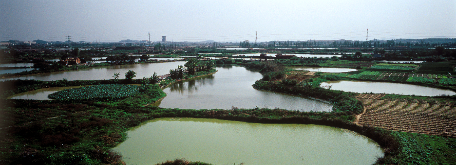 保留完好的石排農地（現屬生態園，2006年）.tif.jpg