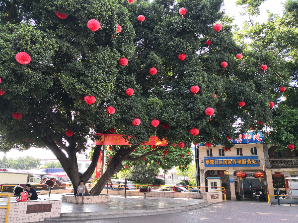 榕蔭小筑.jpg