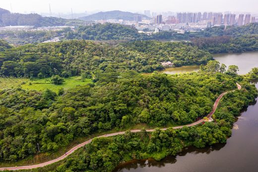 DJI_0596-1_結果.jpg