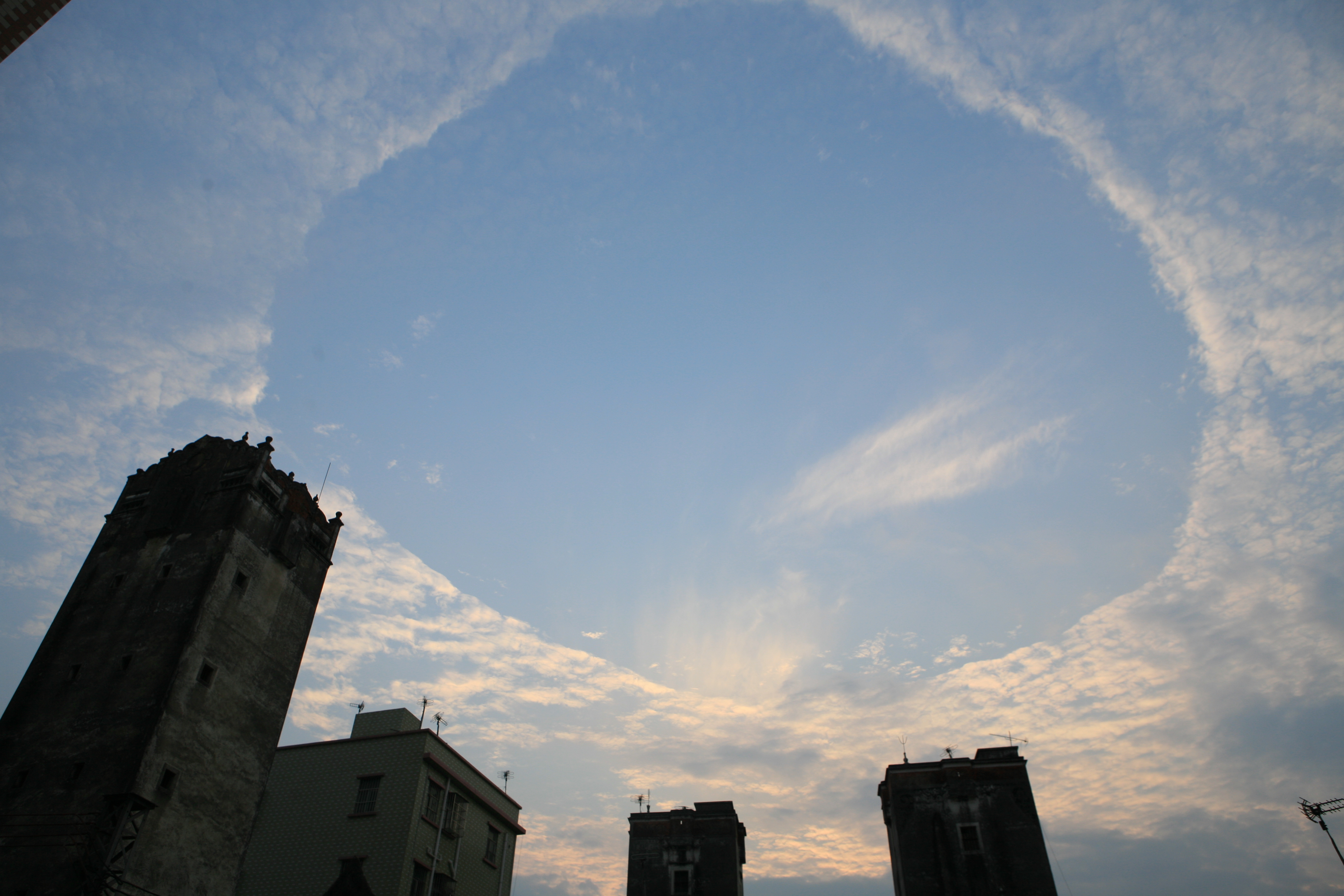 2009年天網.jpg