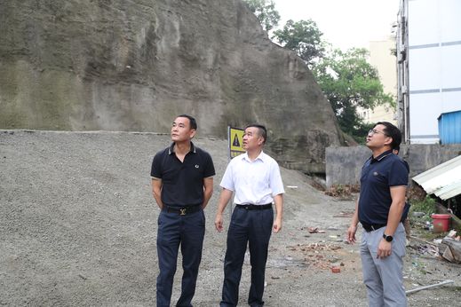 長安鎮黨委委員陳文龍帶隊前往正龍路、新崗路附近的地質災害風險點、隱患點進行逐一檢查 麥偉強攝_結果.jpg