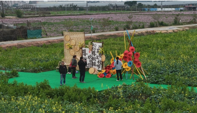 花期已至！厚街油菜花海等你來欣賞.jpg