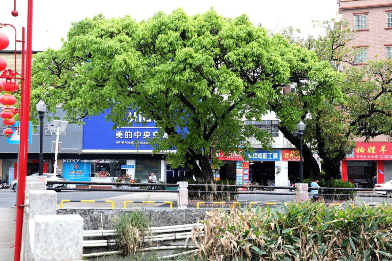 微信圖片_20250401102945.jpg