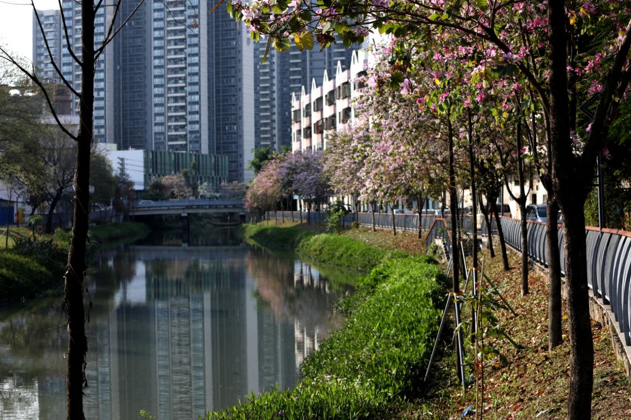 微信圖片_20250401103310.jpg