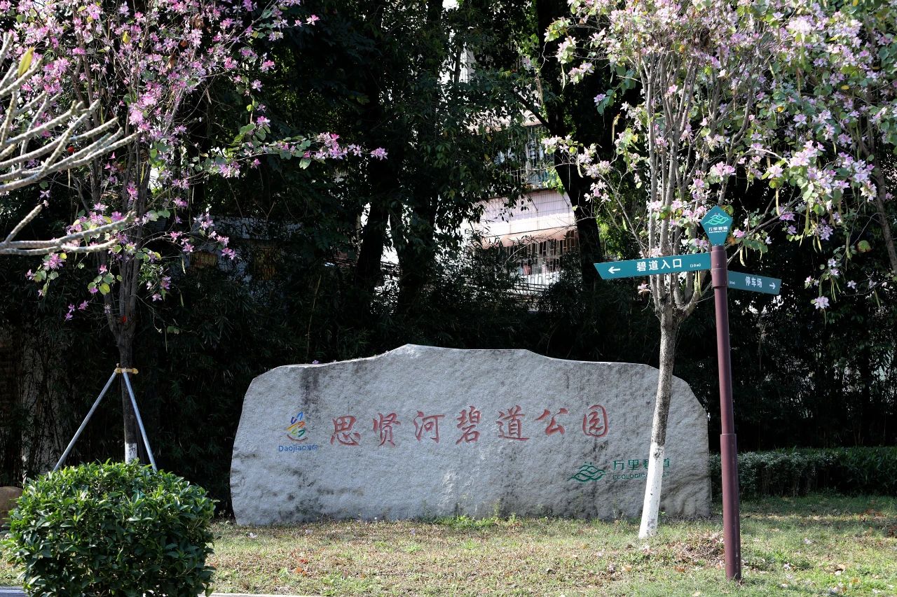 微信圖片_20250401103319.jpg