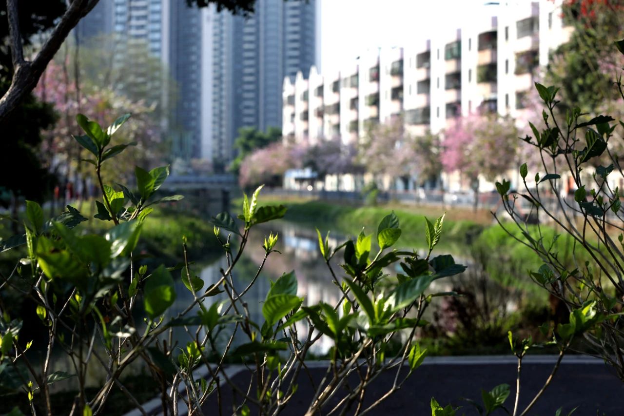 微信圖片_20250401103328.jpg