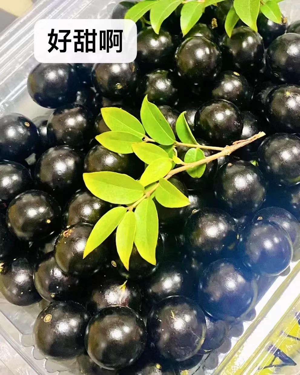 微信圖片_20250402083533.jpg