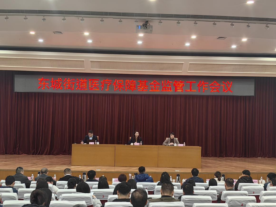 東城信息2025年第15期總第970期嚴守基金安全底線 共筑醫保民生防線——東城街道召開醫療保障基金監管工作會議.docx_1