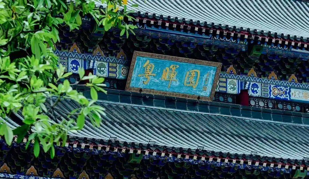 微信圖片_20250409111824.jpg