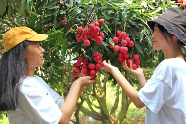 微信圖片_2025-05-29_111729_027.png