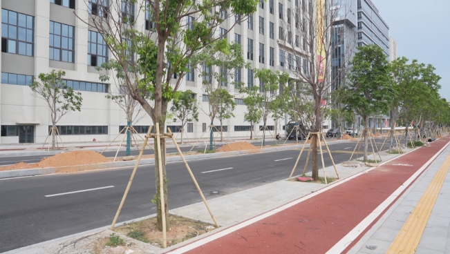 厚街：一批道路工程即將完工 助力經濟高質量發展.jpg