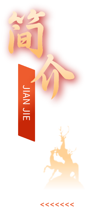 “百縣千鎮萬村高質量發展工程”簡介